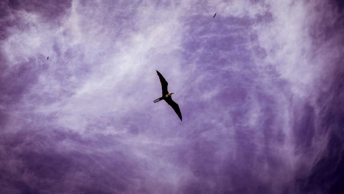 Prevén lluvias y nublados.