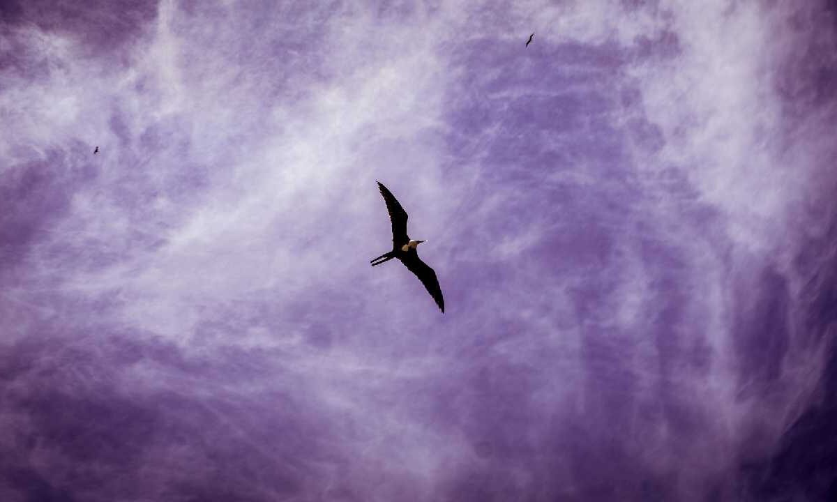 Prevén lluvias y nublados.