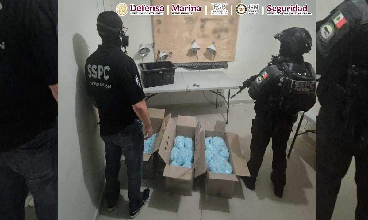 Aseguran millones de dosis de fentanilo.
