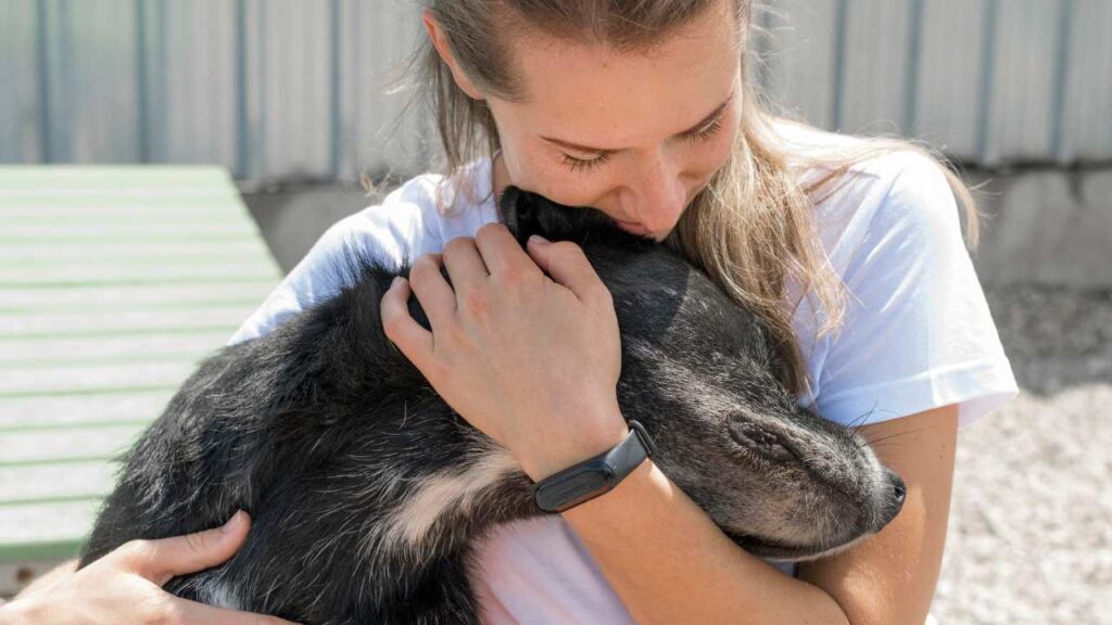 Activistas en Chetumal exigen mesa especializada en maltrato animal y delitos ambientales