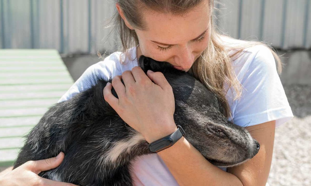 Activistas en Chetumal exigen mesa especializada en maltrato animal y delitos ambientales