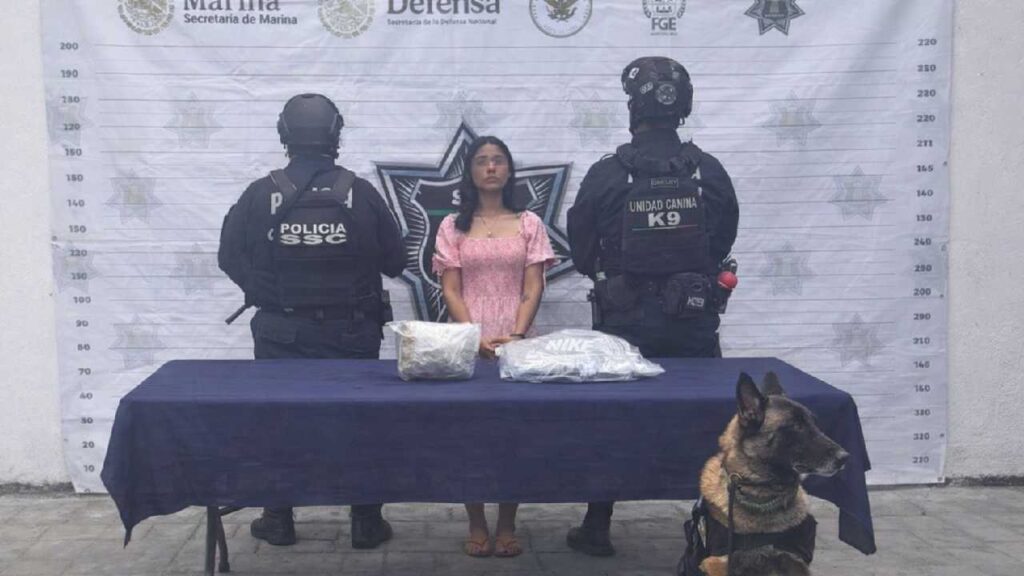 Frustran tráfico de droga en la terminal de ADO en Playa del Carmen; cae supuesta "mula"