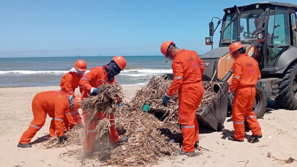 Manchas de hidrocarburos en costas de Veracruz y Tabasco
