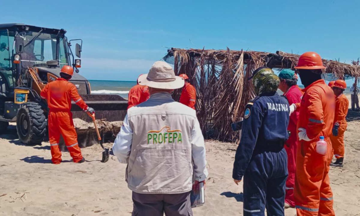 Manchas de hidrocarburos en costas de Veracruz y Tabasco