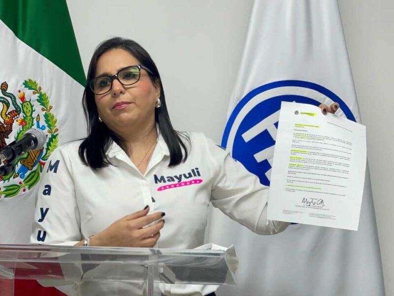 Plan B de reforma electoral omite crimen organizado en México, advierte senadora del PAN
