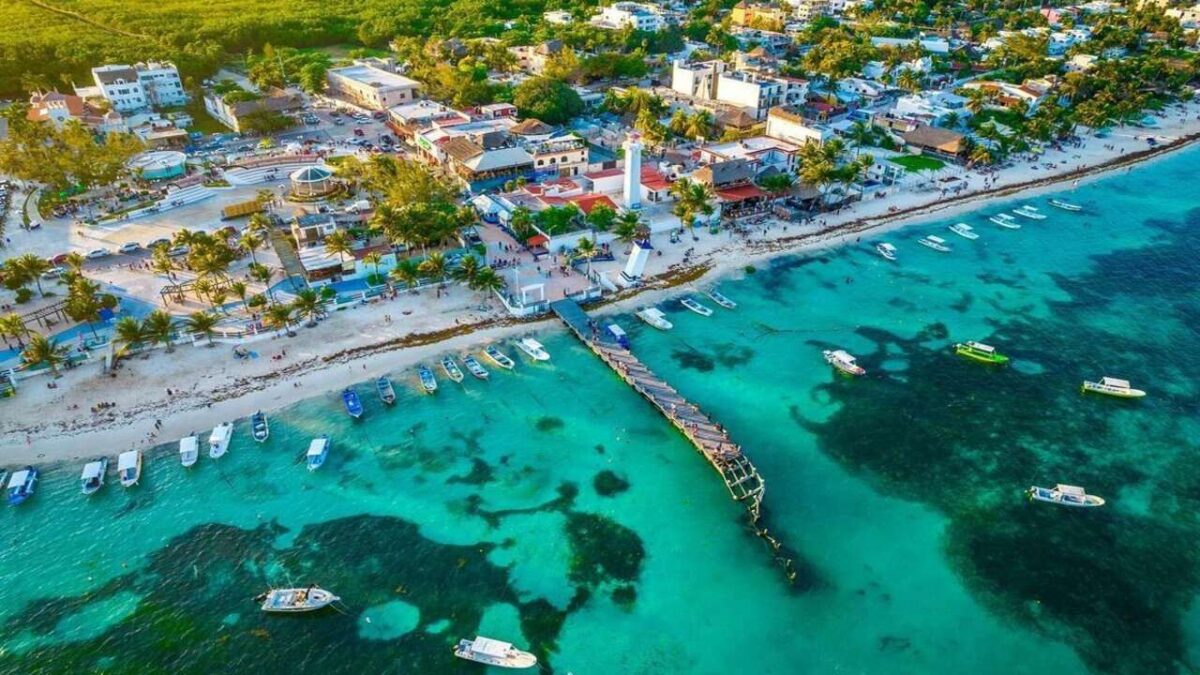 Quintana Roo impulsa polo para transformar el sargazo en recursos productivos