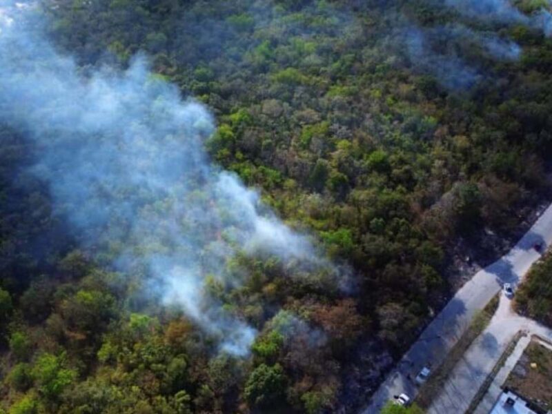 Alertan por temporada de incendios forestales en Cancún