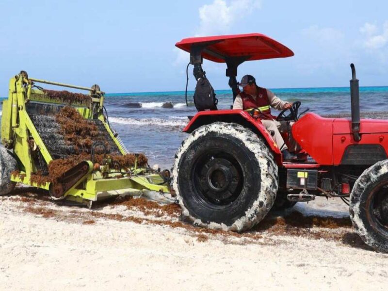 Sargazo en playas de Cancún activa operativo