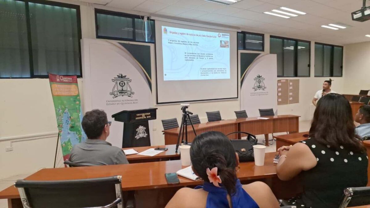 Nuevas carreras en la Uqroo, alineadas al Plan México.