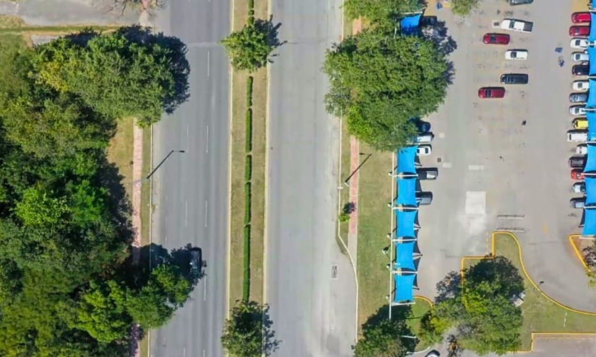 Quintana Roo mapeará su arbolado con una App