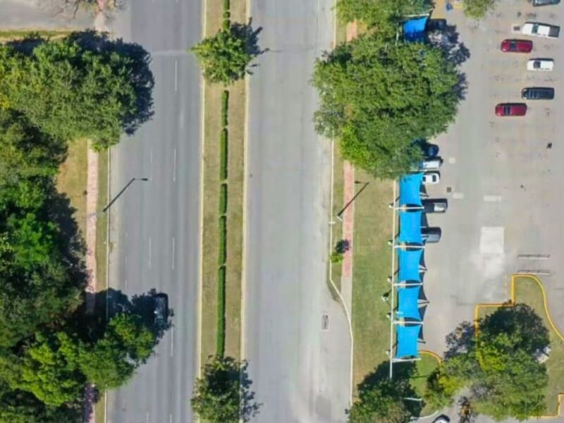 Con una App, Quintana Roo mapeará su arbolado para combatir el calor extremo