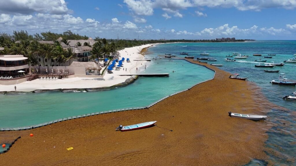 Quintana Roo se adelanta al sargazo previo a las vacaciones