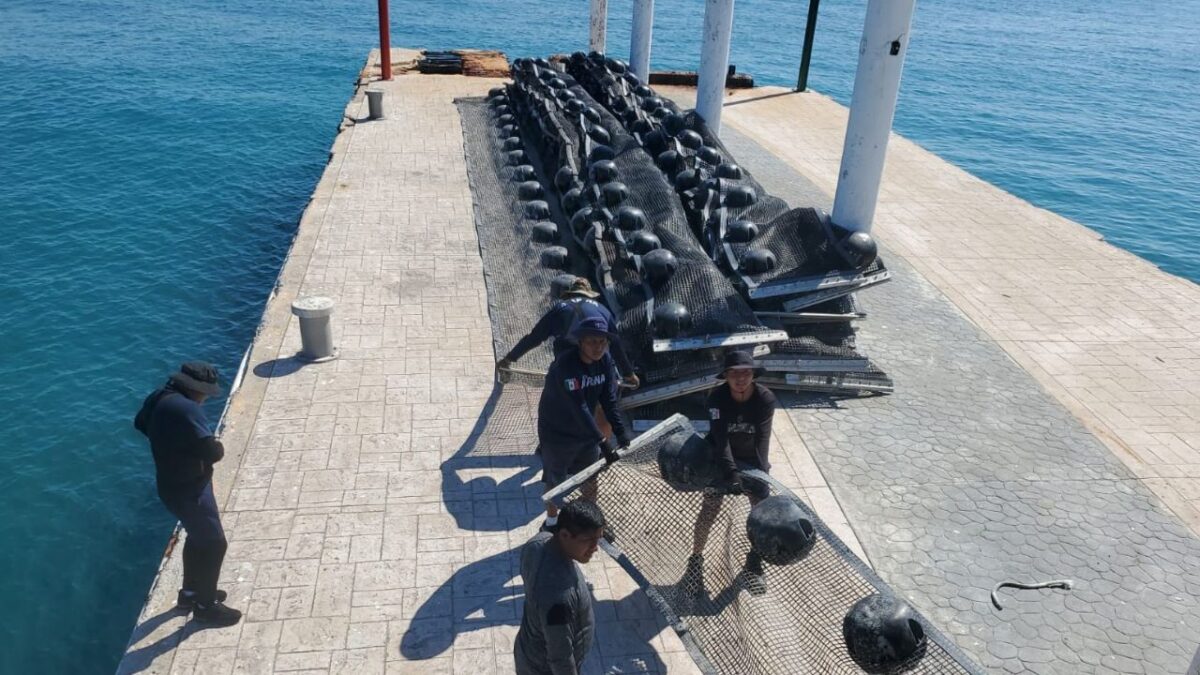 Quintana Roo se adelanta al sargazo previo a las vacaciones