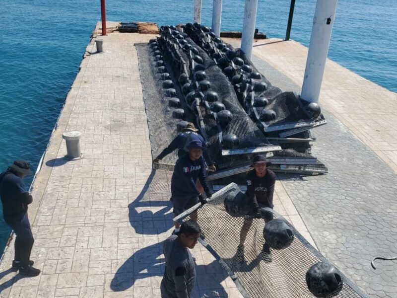 Quintana Roo se adelanta al sargazo previo a las vacaciones