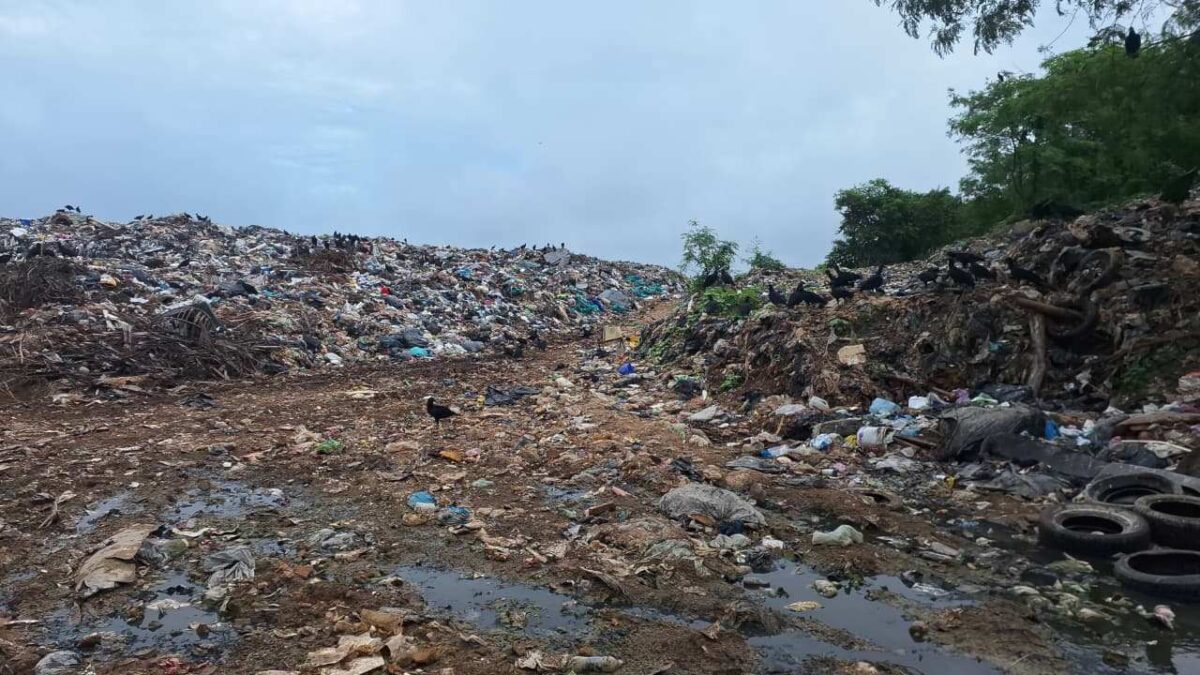 Crisis de basura en Othón P. Blanco por falta de relleno