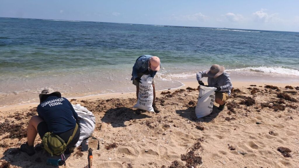 Retiran +700 toneladas de hidrocarburos en el Golfo de México