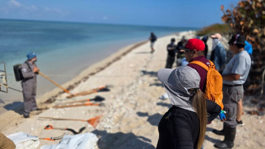 Retiran +700 toneladas de hidrocarburos en el Golfo de México