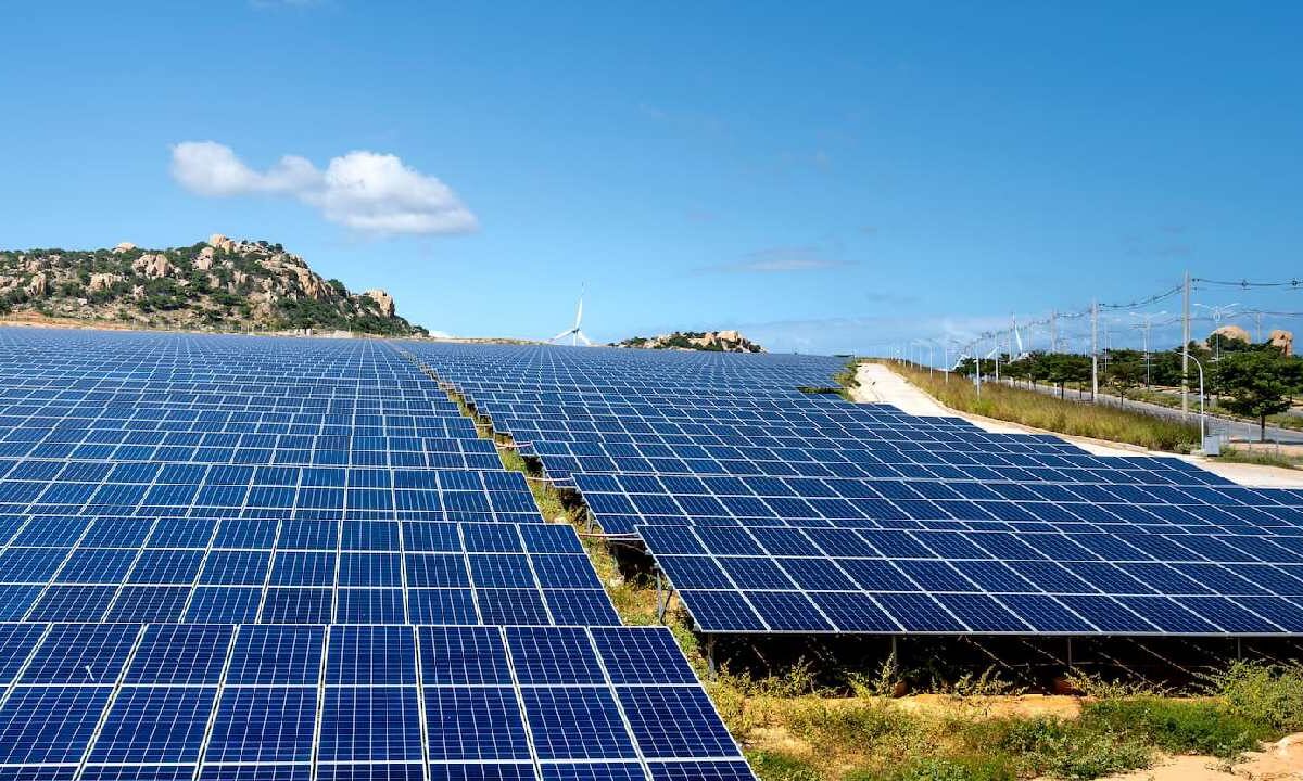 El desarrollo ocupará alrededor de 242 hectáreas.