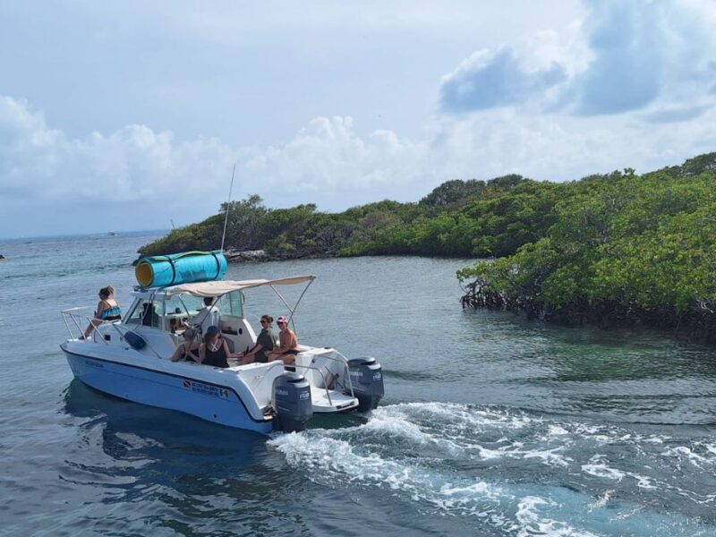 Náuticos de Quintana Roo van a la Cámara de Diputados: Buscan revertir alza en cobro a ANP