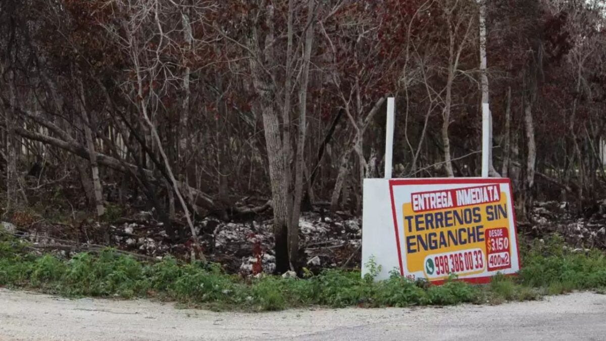 Regularización de tierras en Alfredo V. Bonfil