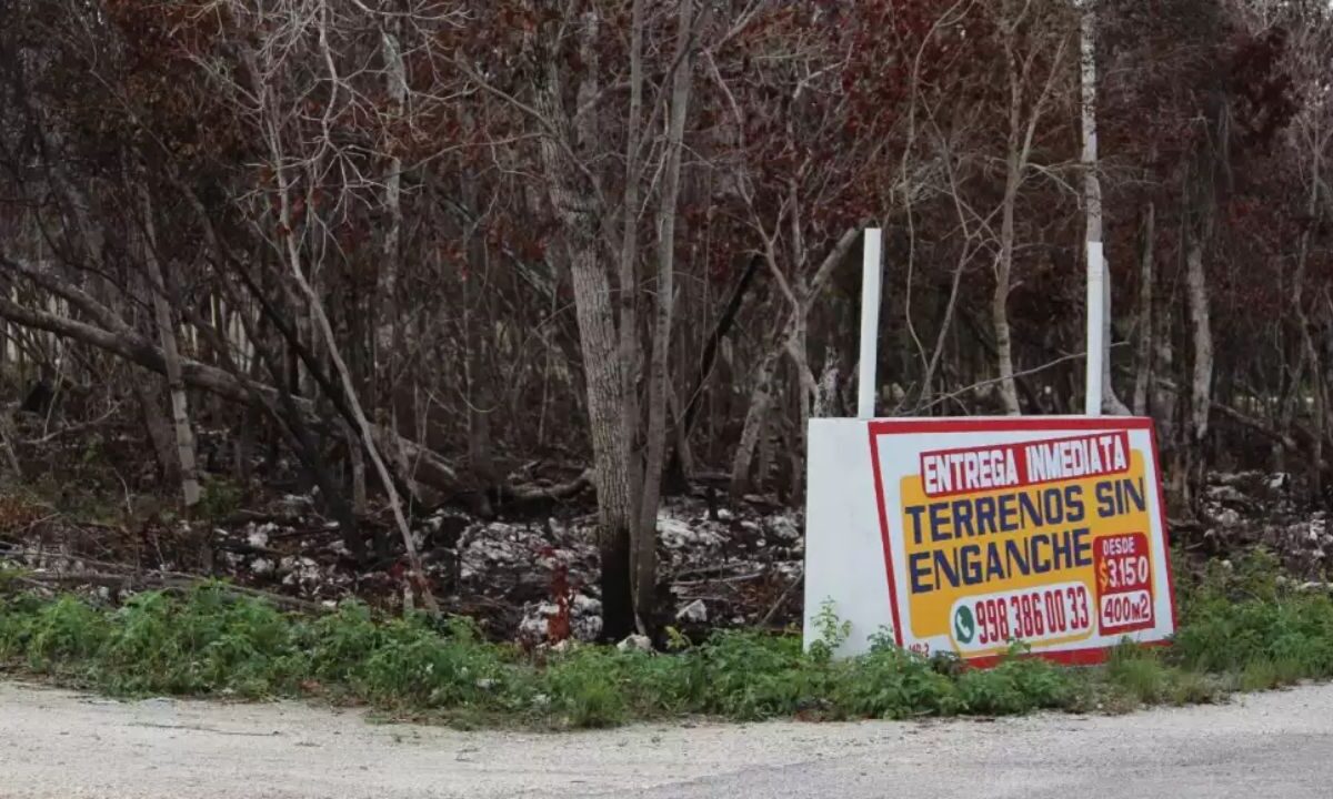 Regularización de tierras en Alfredo V. Bonfil