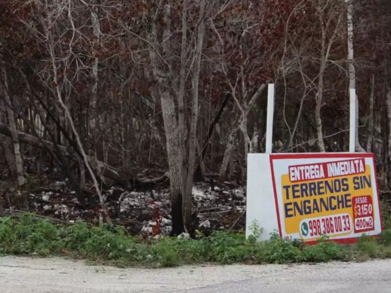 Regularización de tierras en Alfredo V. Bonfil beneficiará a 5 mil familias