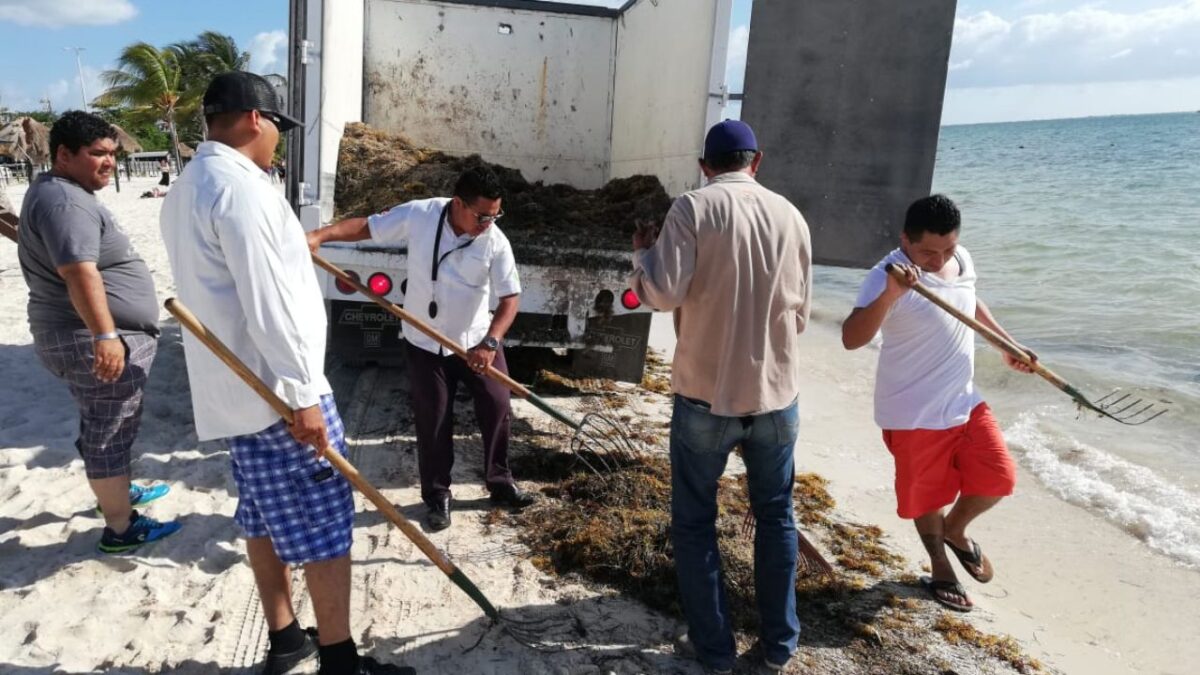 Benito Juárez aplica trabajo comunitario como sanción cívica