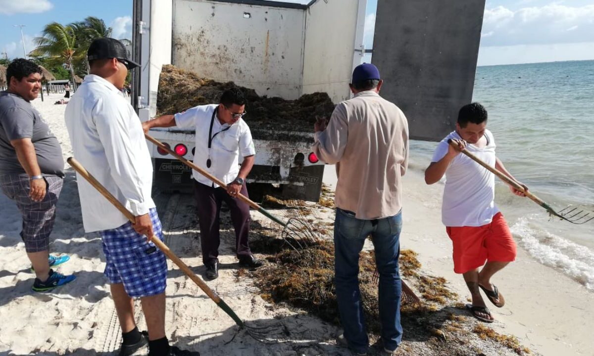 Benito Juárez aplica trabajo comunitario como sanción cívica