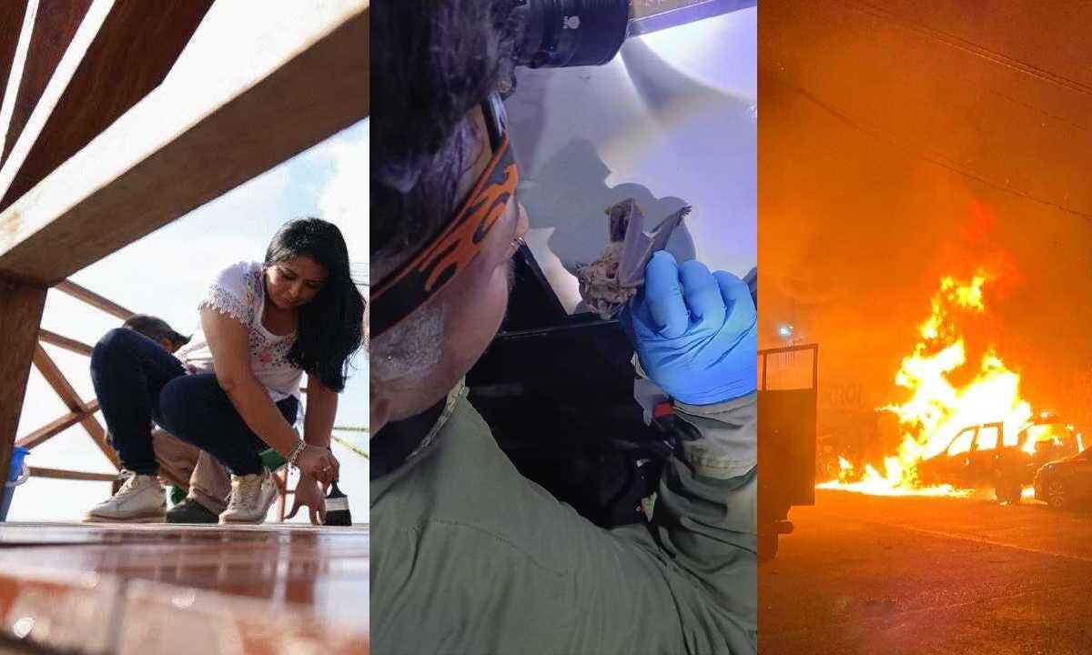 Últimas noticias lunes 20 de abril.