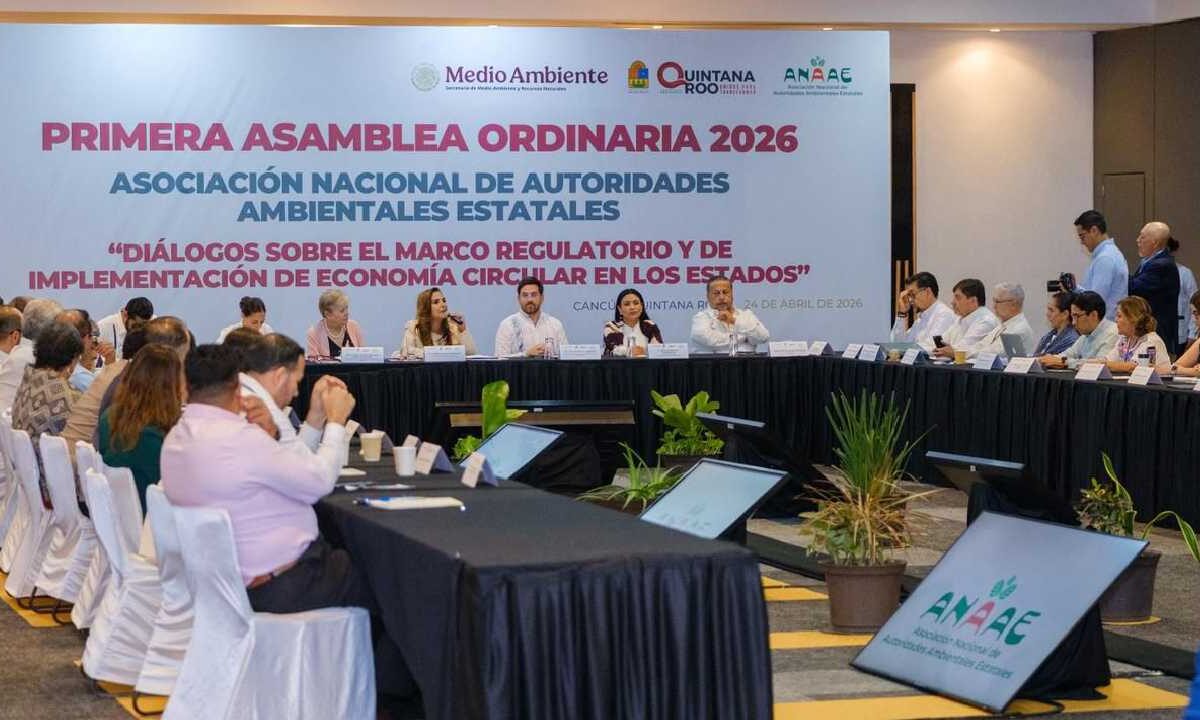 Quintana Roo y el medio ambiente.