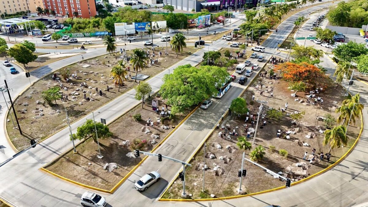 Cancún obtiene “Ciudad Árbol del Mundo 2025” por reforestación