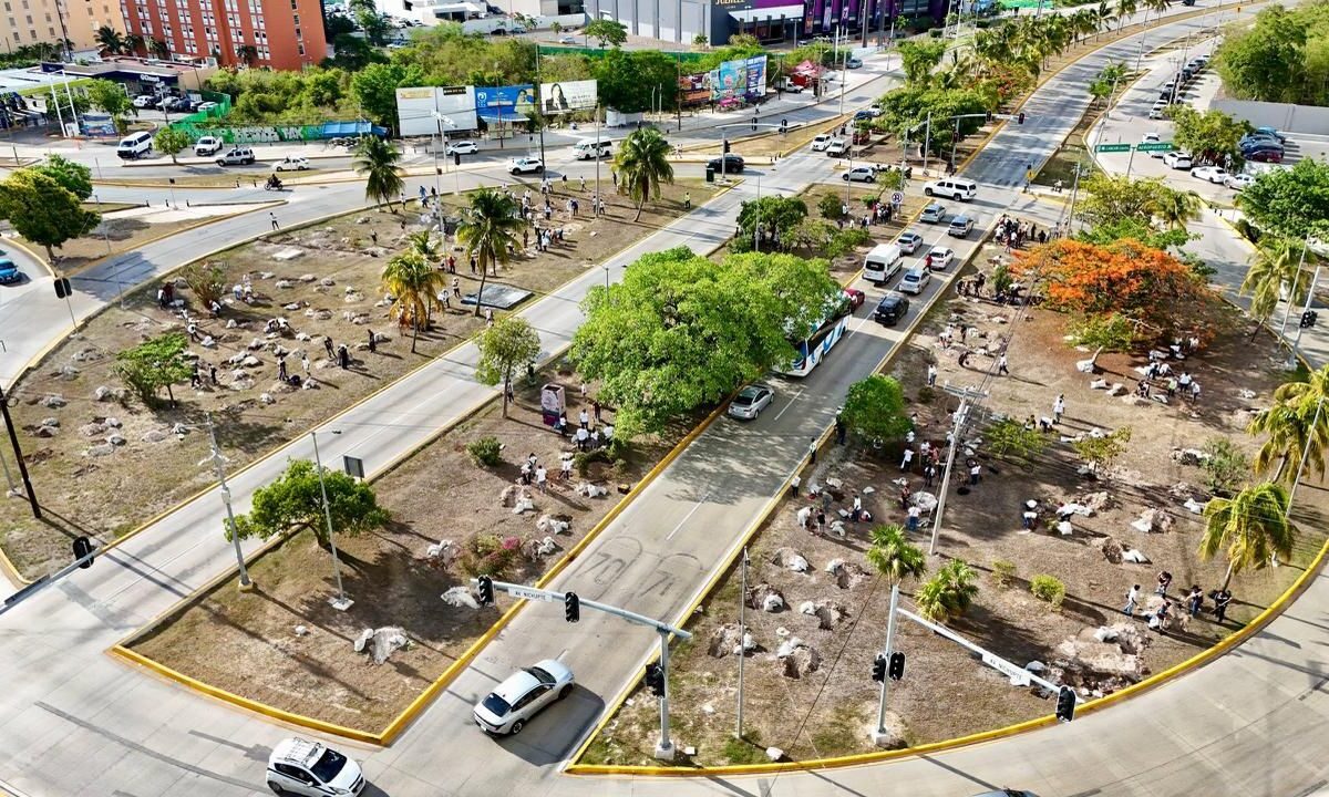 Cancún obtiene “Ciudad Árbol del Mundo 2025” por reforestación
