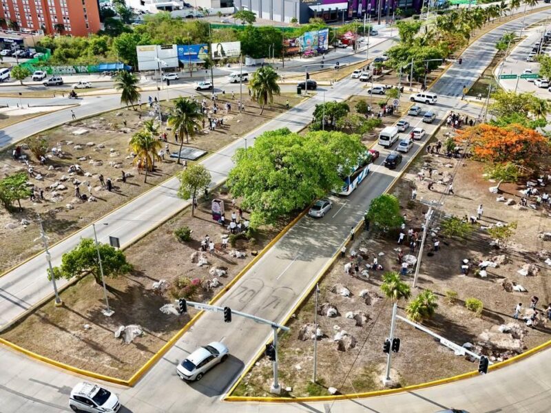 Cancún obtiene distinción “Ciudad Árbol del Mundo 2025” por reforestación