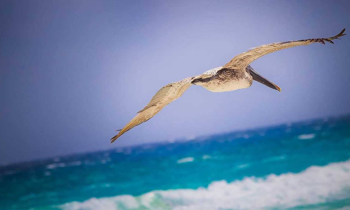 Se mantiene el calor.