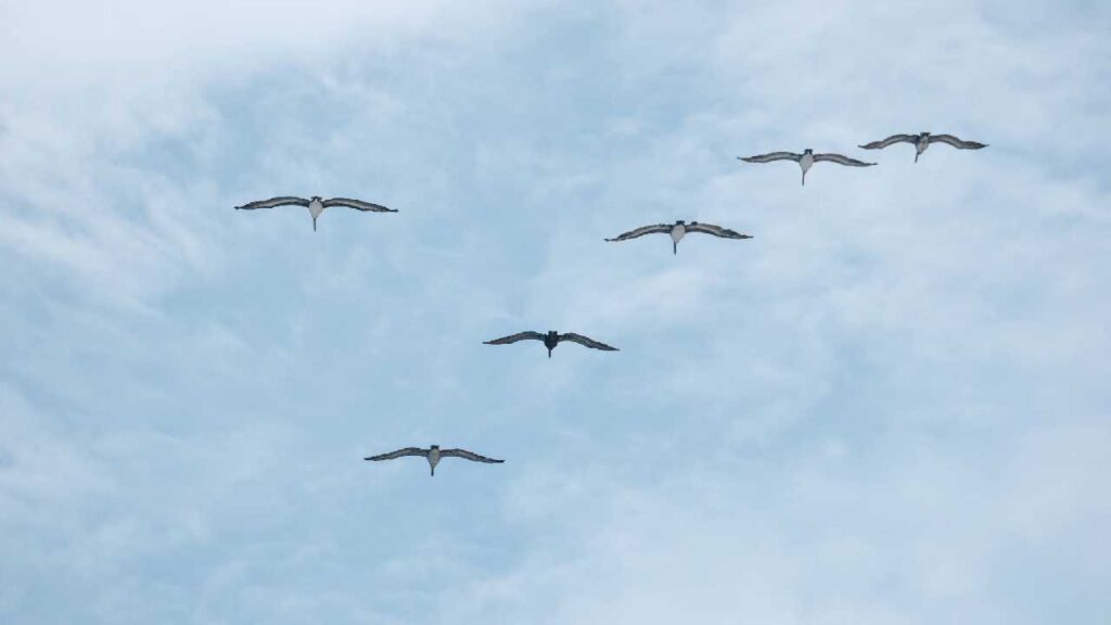 Clima en Quintana Roo: prevén bastante calor hoy miércoles con temperaturas hasta los 45 grados