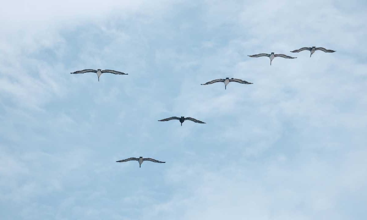 Prevén altas temperaturas.