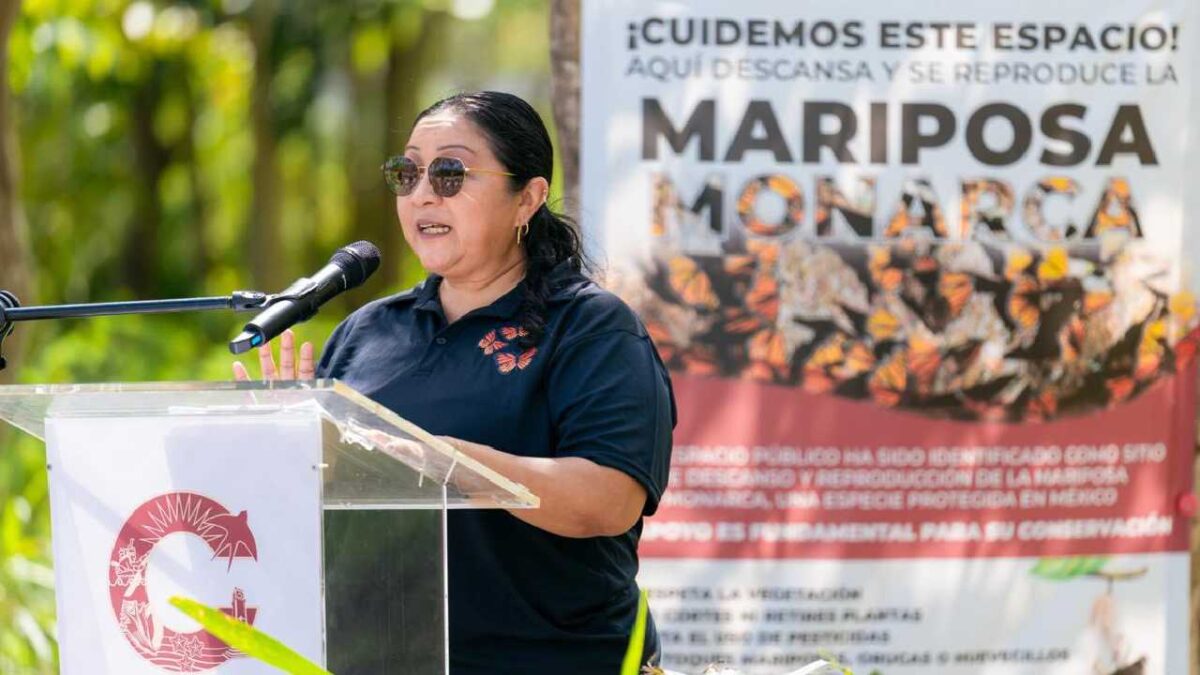Cozumel crea oasis urbano para mariposas con su primer jardín polinizador