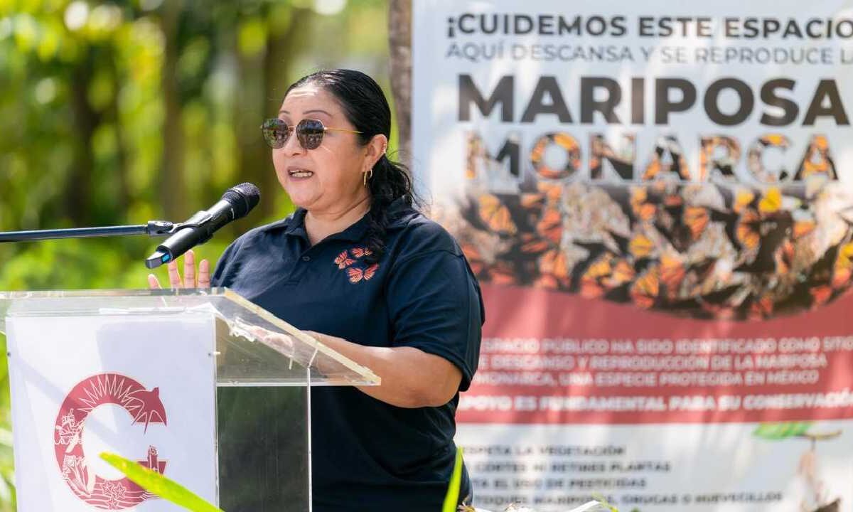 Cozumel y su gran labor.