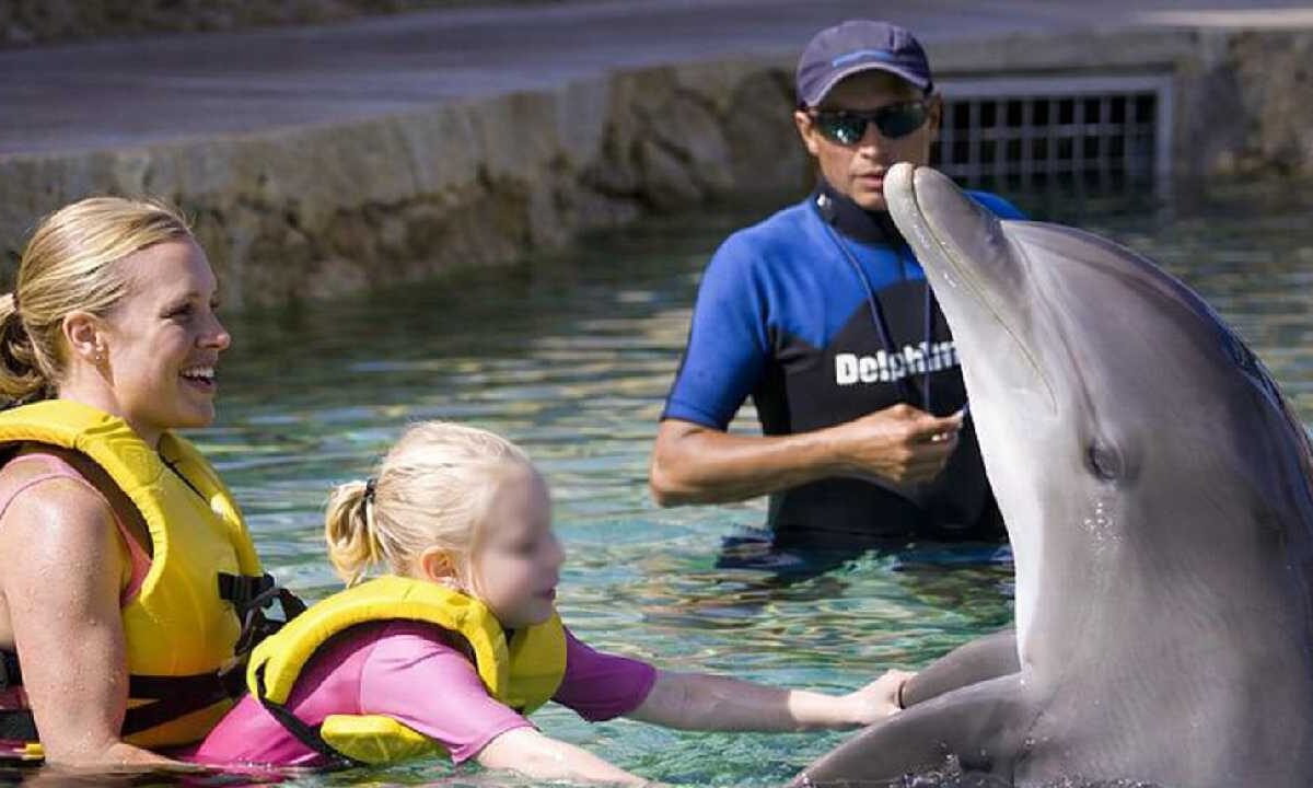 Pese a la prohibición de espectáculos y reproducción, autoridades descartan la liberación de ejemplares.