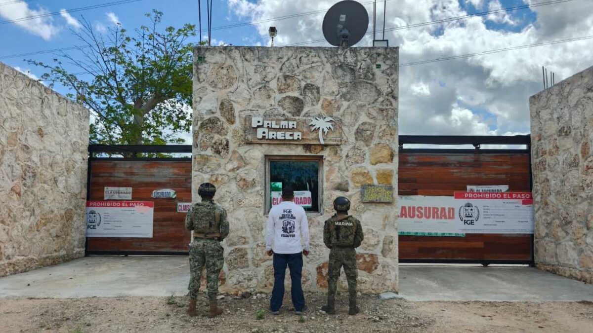 Predio asegurado en Puerto Morelos.
