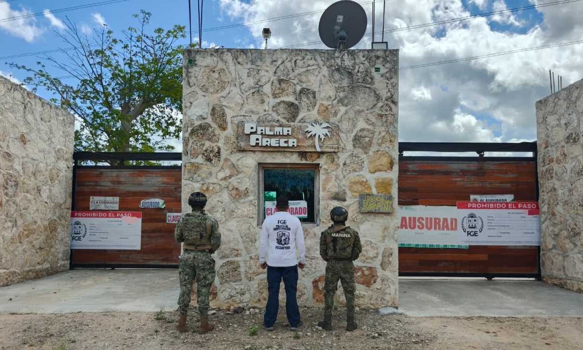 Predio asegurado en Puerto Morelos.