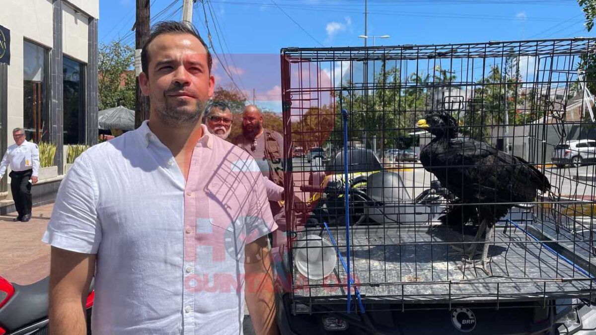 Ecología realizó rescate de animales silvestres.