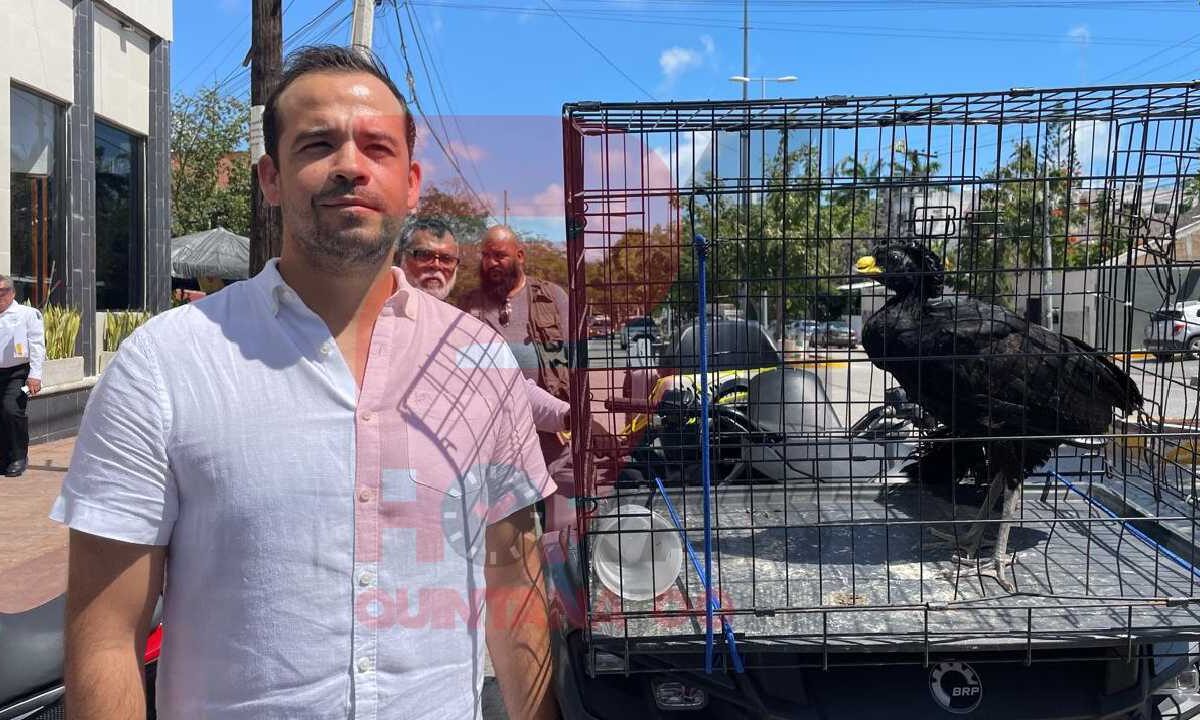 Ecología realizó rescate de animales silvestres.