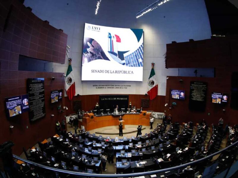 Gino Segura busca castigar fraudes en páginas web turísticas falsas