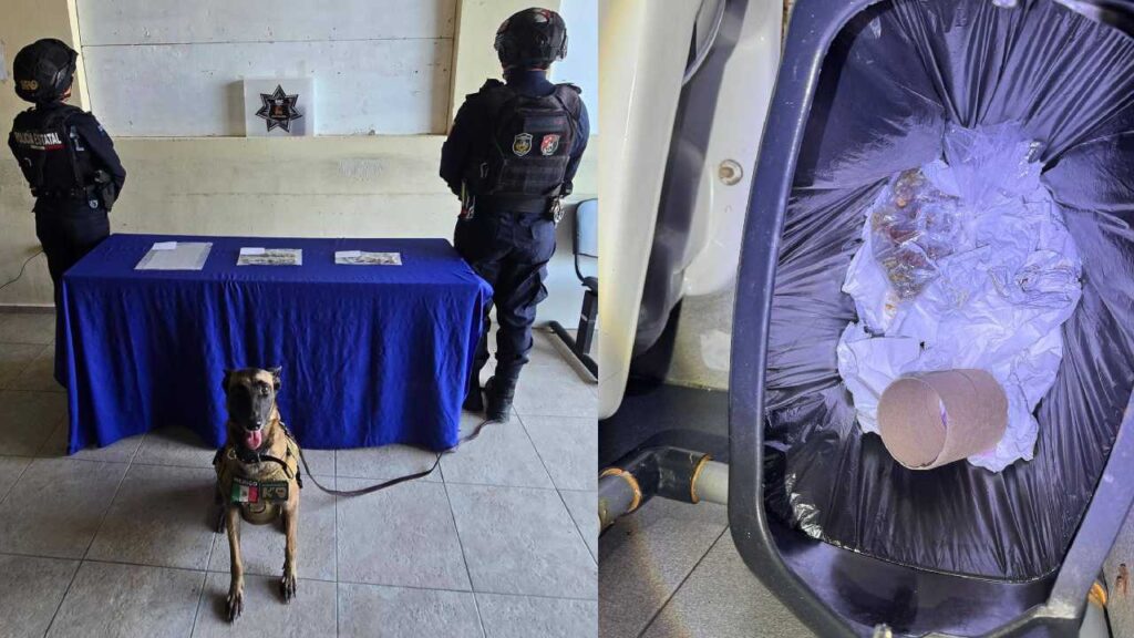 La droga estaba en un bote de basura.