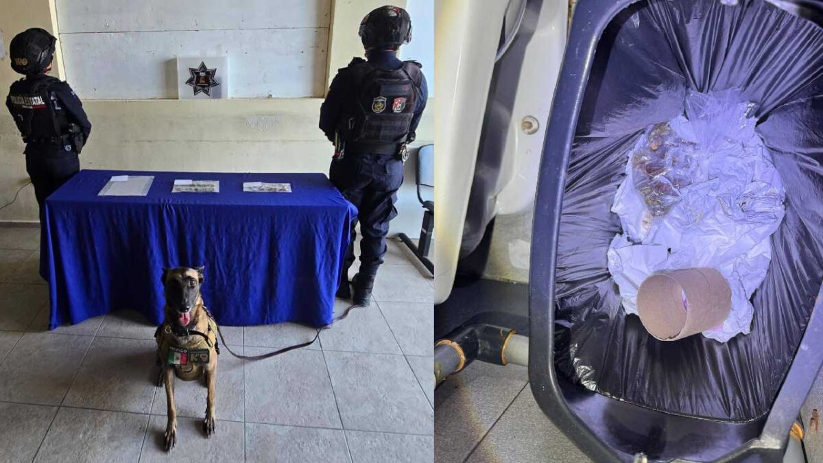 Hallan droga en uno de los baños de la terminal de autobuses ADO en Tulum