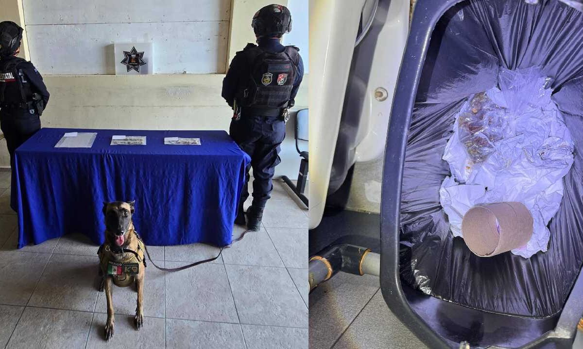 La droga estaba en un bote de basura.