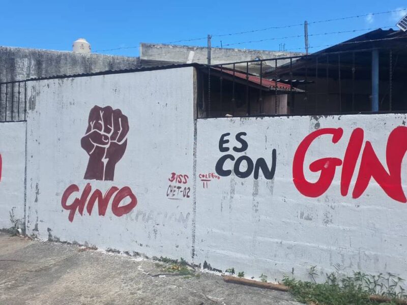 Ieqroo: 52 denuncias por presunta propaganda anticipada en Q. Roo durante 2026