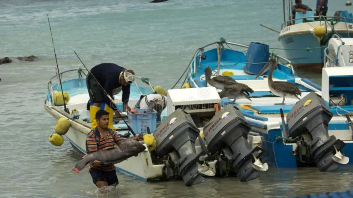 Pescadores de Isla Mujeres reportan caída del 75% en ventas