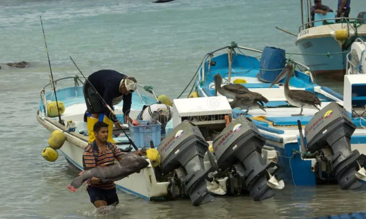 Pescadores de Isla Mujeres reportan caída del 75% en ventas